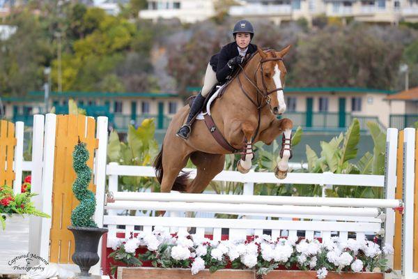 Silver Lining Training Stables