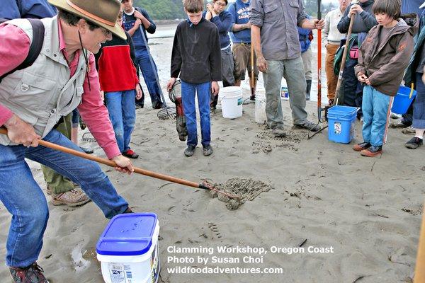 Wild Food Adventures