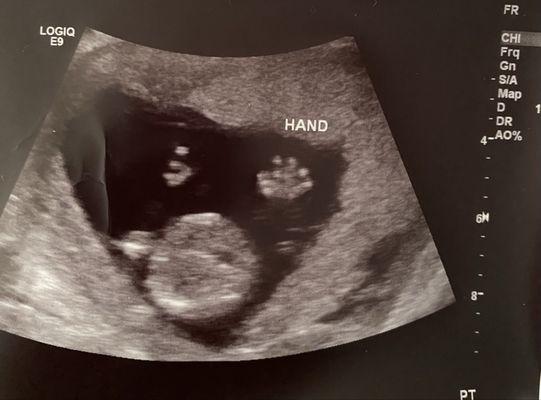 Advanced Fertility Associates Medical Group