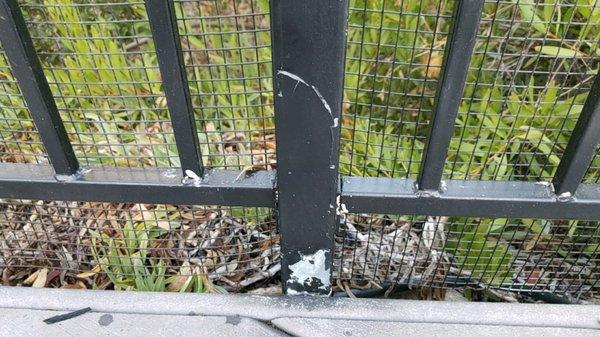 More peeling paint less than 5 months later. Such poor quality work and customer service.