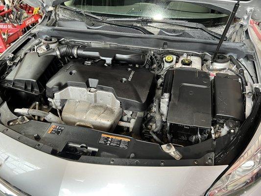 They cleaned around my engine too. Great customer service.