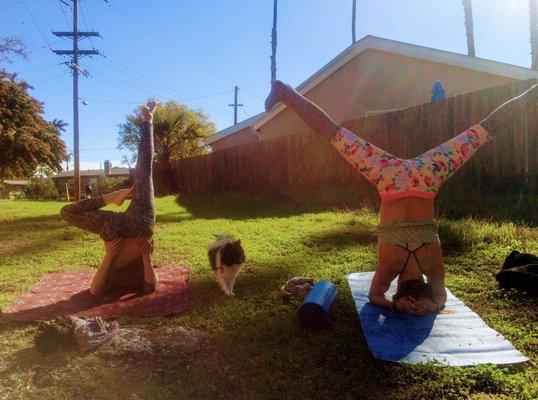 Harmonize Healing Arts