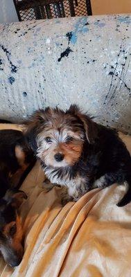 Southlawn Palms Apts