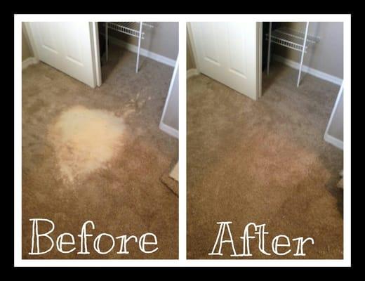Premium Carpet Repair & Cleaning