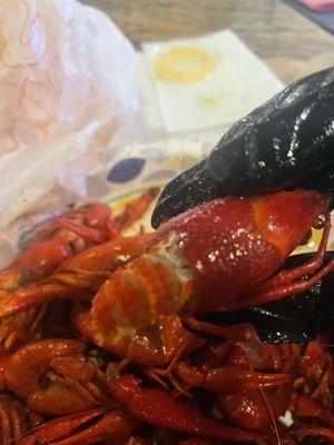 Springhill Seafood
