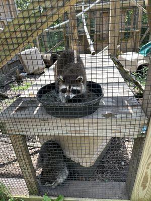 Ohio Wildlife Center