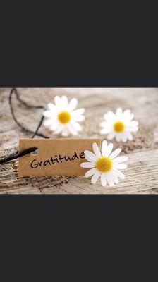 White Lily Cleaning Service