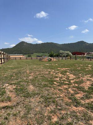 Dog park