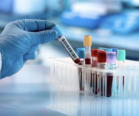 Functional Wellness Labs Now Available