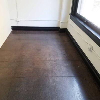 Shimmer & Shine cleaning