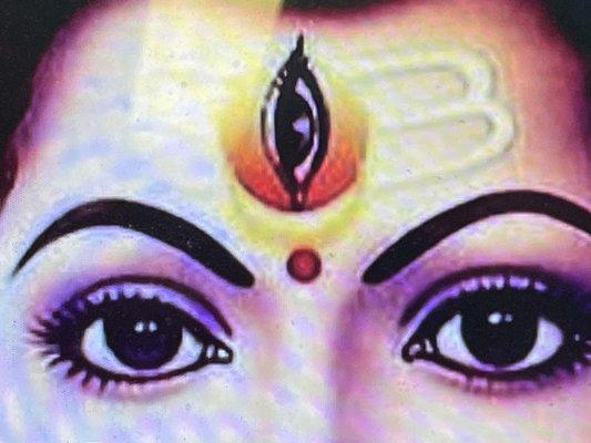 Super Dave Transportation