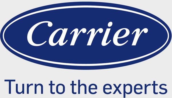 Britton Service Group