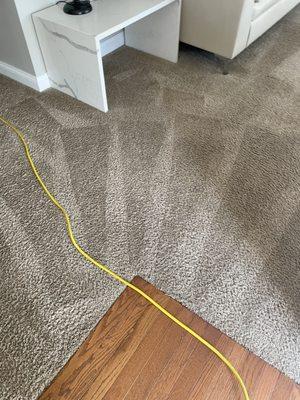 G O Zambrano’s Cleaning