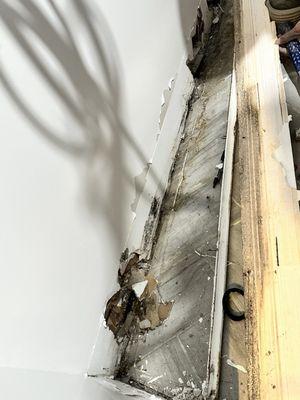 Leak revealed. Trim removed.