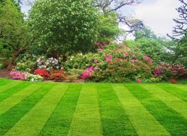 Three Oaks Lawn Maintenance