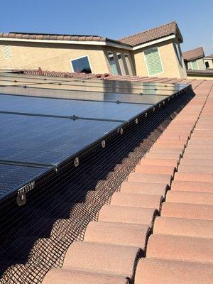 Solar panel critter guard installation