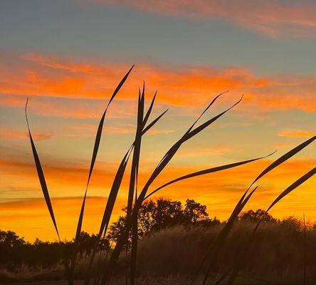 Have a wonderful Aloha Friday!!