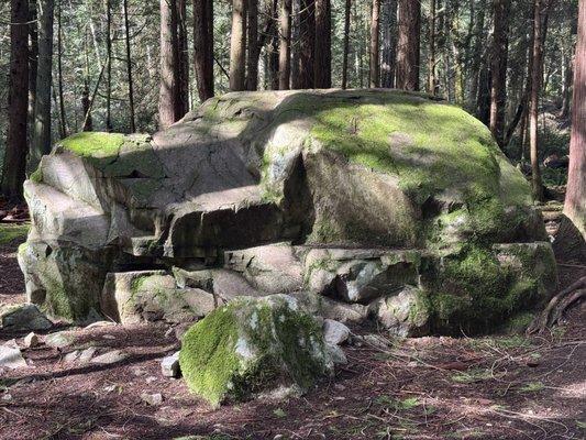 Gazzam Lake Preserve