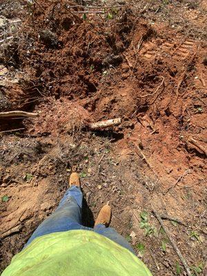 AK Tree Service & Landscaping