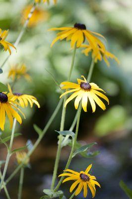 Great Bay Discovery Center
