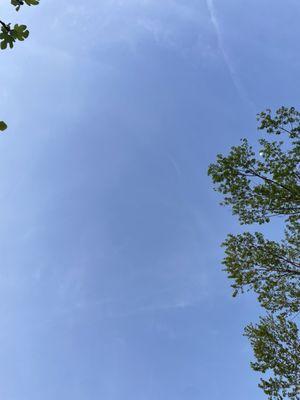 William Alexander Salon Y Barberia