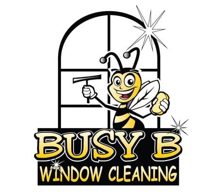 Pro Window Cleaning