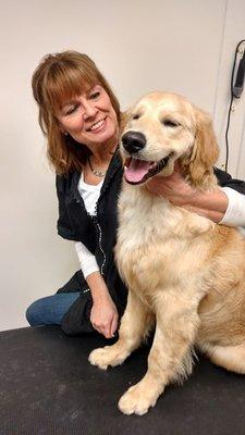 Barking Bubbles Grooming & Boutique