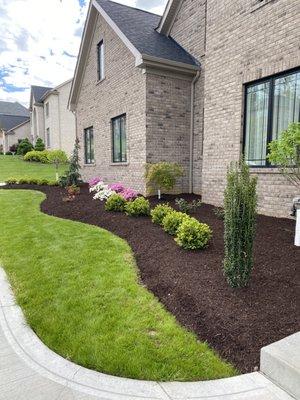 A&N Lawn Service