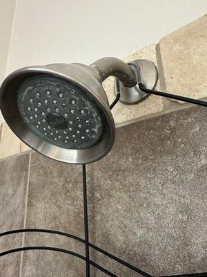 Shower head not clean