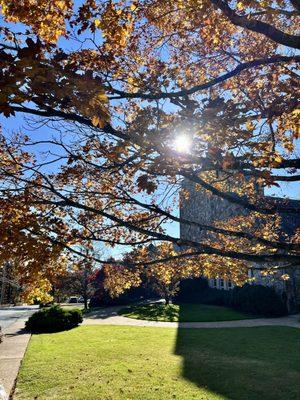 Lookout Mountain Presbyterian Church Pca