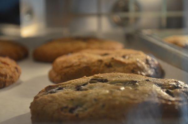 Valley Wide Country Store