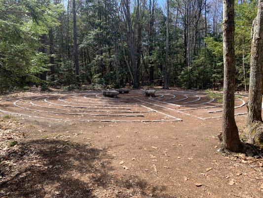 Labyrinth In The Woods
