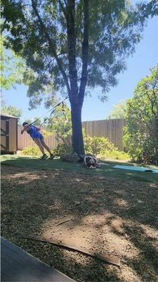 Move with Lauren Liz