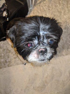 Sally Wright, a.k.a. The Groomer