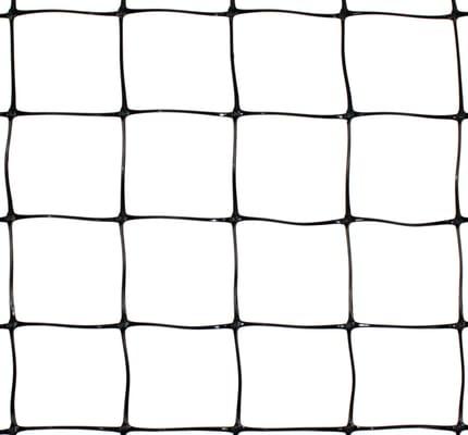 Trident Enterprises International