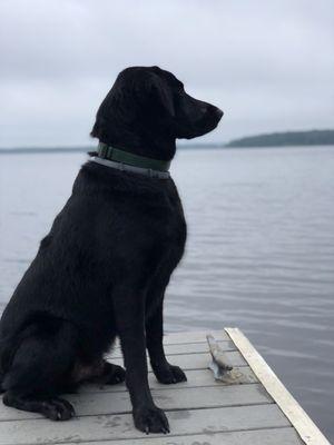 Worden's Pond Family Campground