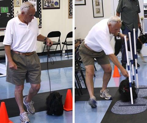 Tricks, Agility & Games Class. Giving weave poles a try.