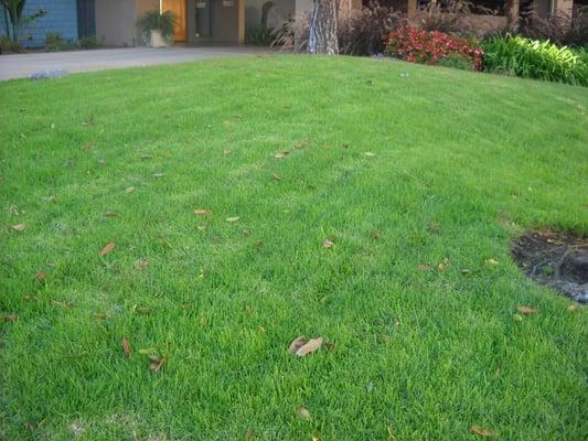 Westview Homeowners Association