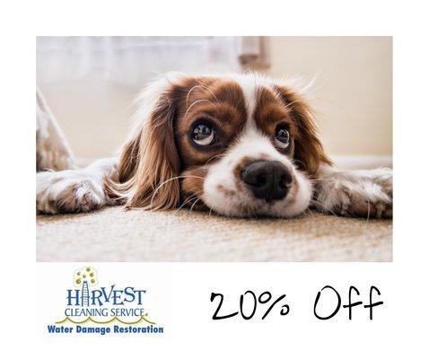 20% off if you mention YELP.