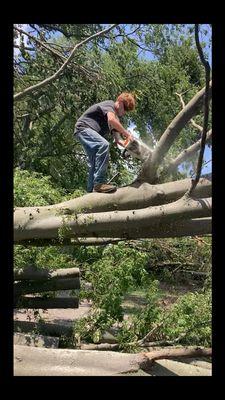 Mobleys branch & blade