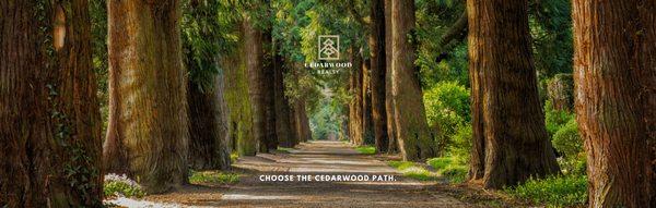 Renee Orlewicz - Cedarwood Realty