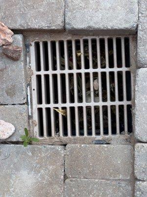 LandPro Landscaping and Maintenance