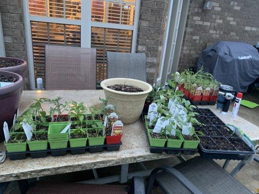 We got started and are going back for more.