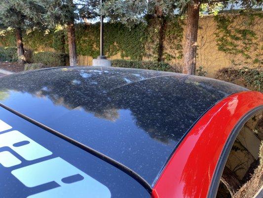 Car roof after car wash