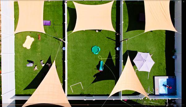 Central Bark Doggy Day Care