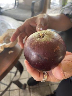 Vuon Trai Cay La Vang