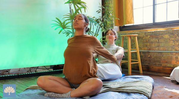Tulip Tree Healing Arts Collective