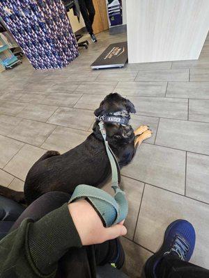 Oak Heart Veterinary Hospital and Emergency at South Saunders