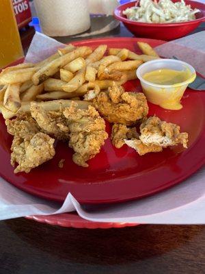 Xtreme Wings