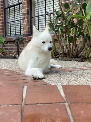 Tracy Animal Hospital